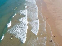 strand van Bloemendaal.jpg
