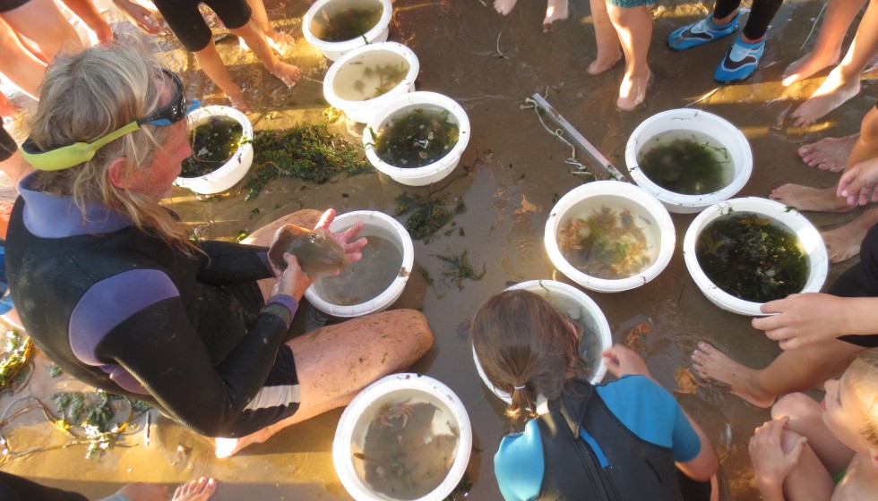 Schleppnetzfischen guide erklären Fische strand Meer Kinder Geversduin